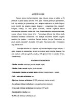 Prakses atskaite 'Pacienta slimības vēsture', 5.