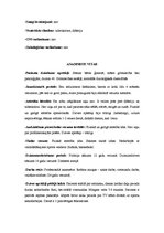 Prakses atskaite 'Pacienta slimības vēsture', 6.