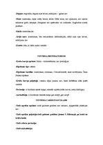 Prakses atskaite 'Pacienta slimības vēsture', 10.