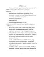 Referāts 'Motivācija SIA "XXX"', 4.