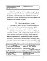 Referāts 'Motivācija SIA "XXX"', 15.