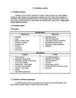 Konspekts 'Projekta plāns', 2.