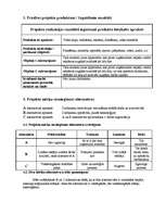 Konspekts 'Projekta plāns', 4.