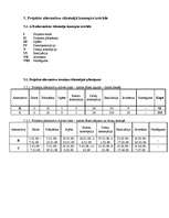 Konspekts 'Projekta plāns', 5.