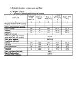 Konspekts 'Projekta plāns', 6.