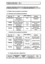 Konspekts 'Projekta plāns', 12.