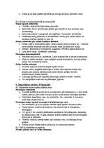 Konspekts 'Senā Roma', 2.