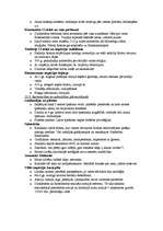 Konspekts 'Senā Roma', 5.