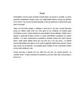 Referāts 'Priekšvēlēšanu tēriņu ierobežojuma apiešana pirms 2006.gada Saeimas vēlēšanām', 3.