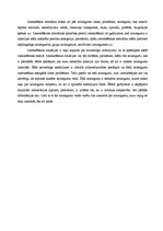 Referāts 'Ceļu transporta negadījumu kriminālistiskais raksturojums un apstākļi, kas jāpie', 5.