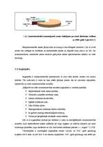 Referāts 'Produktu raksturojums un to konkurētspējas novērtējums uzņēmumā SIA "xxxx"', 6.