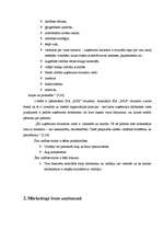 Referāts 'Produktu raksturojums un to konkurētspējas novērtējums uzņēmumā SIA "xxxx"', 10.