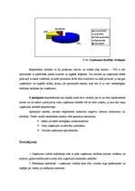 Referāts 'Produktu raksturojums un to konkurētspējas novērtējums uzņēmumā SIA "xxxx"', 28.