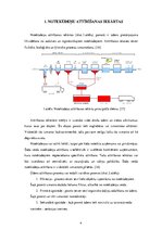 Referāts 'Piesārņojuma avotu identifikācija ūdens attīrīšanas iekārtu tehnoloģiskajā proce', 7.