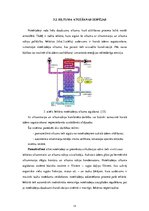 Referāts 'Piesārņojuma avotu identifikācija ūdens attīrīšanas iekārtu tehnoloģiskajā proce', 16.