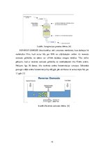 Referāts 'Piesārņojuma avotu identifikācija ūdens attīrīšanas iekārtu tehnoloģiskajā proce', 19.