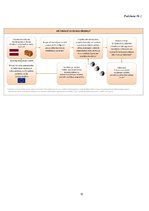 Referāts 'Eiropas Savienības fondi un to plūsma caur Latvijas Investīciju un attīstības aģ', 32.