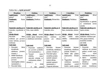 Prakses atskaite 'Kvalifikācijas prakse pirmsskolas izglītības iestādē', 12.