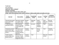 Prakses atskaite 'Kvalifikācijas prakse pirmsskolas izglītības iestādē', 21.