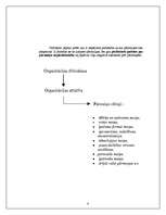 Referāts 'Pārmaiņu organizācija', 4.