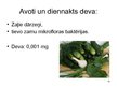 Prezentācija 'Vitamīni un to loma cilvēka organismā', 10.