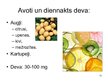Prezentācija 'Vitamīni un to loma cilvēka organismā', 13.