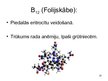 Prezentācija 'Vitamīni un to loma cilvēka organismā', 22.