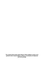 Referāts 'Galda klājumi', 8.