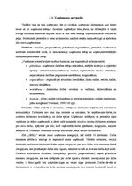 Referāts 'Iekšējās un ārējās vides ietekme uz SIA "GEKA" darbību', 8.