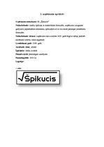 Biznesa plāns 'Biznesa plāns', 1.