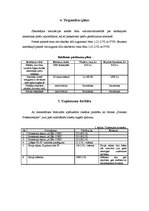 Biznesa plāns 'Biznesa plāns', 4.