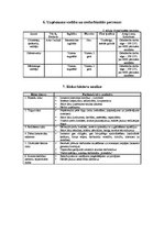 Biznesa plāns 'Biznesa plāns', 5.