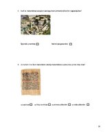 Referāts 'Matemātikas vēsture', 28.