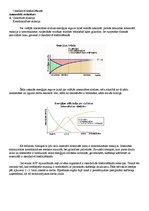 Referāts 'Teniss', 3.