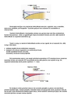 Referāts 'Teniss', 4.