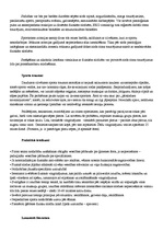 Referāts 'Teniss', 6.