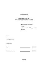 Referāts 'Uzņēmuma SIA "X" finanšu koeficientu analīze', 1.