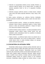 Referāts 'Uzņēmuma SIA "X" finanšu koeficientu analīze', 15.