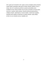 Referāts 'Uzņēmuma SIA "X" finanšu koeficientu analīze', 31.