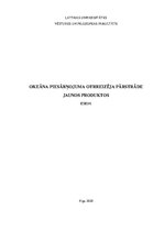 Eseja 'Okeāna piesārņojums', 1.