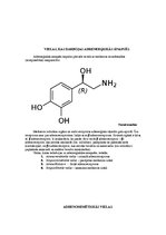 Konspekts 'Adrenomimētiskie līdzekļi', 2.