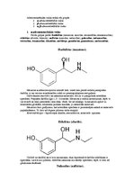 Konspekts 'Adrenomimētiskie līdzekļi', 3.