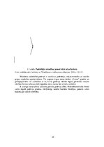 Konspekts 'Socio-Economic Factors of Consumer Behavior: Regional Aspect. Patērētāju uzvedīb', 29.