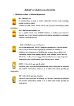 Referāts 'Sauso maisījumu ražotne "Sakret"', 10.