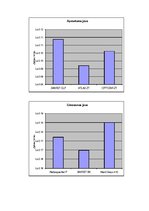 Referāts 'Sauso maisījumu ražotne "Sakret"', 20.