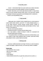 Eseja 'Jaunrades process', 3.