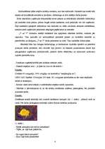 Eseja 'Jaunrades process', 6.