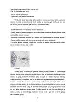 Eseja 'Jaunrades process', 7.