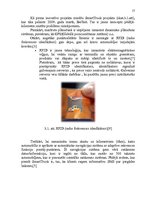 Referāts 'Servisa līmeņa uzlabošana uzņēmumā "Kuehne+Nagel"', 17.