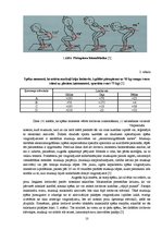 Diplomdarbs 'Speciālie vingrinājumi spēka trīscīņā', 10.